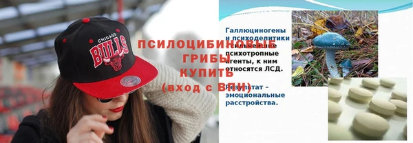 сатива Магадан