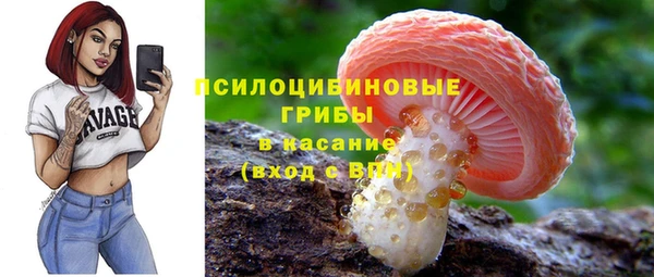 твердый Богородицк